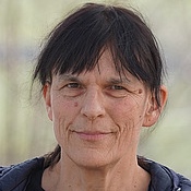 Die Kuh und das Grasland