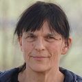 Die Kuh und das Grasland